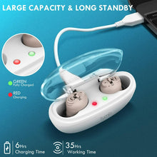 Load image into Gallery viewer, Tumin Rechargeable Hearing Aids Large Capacity.

